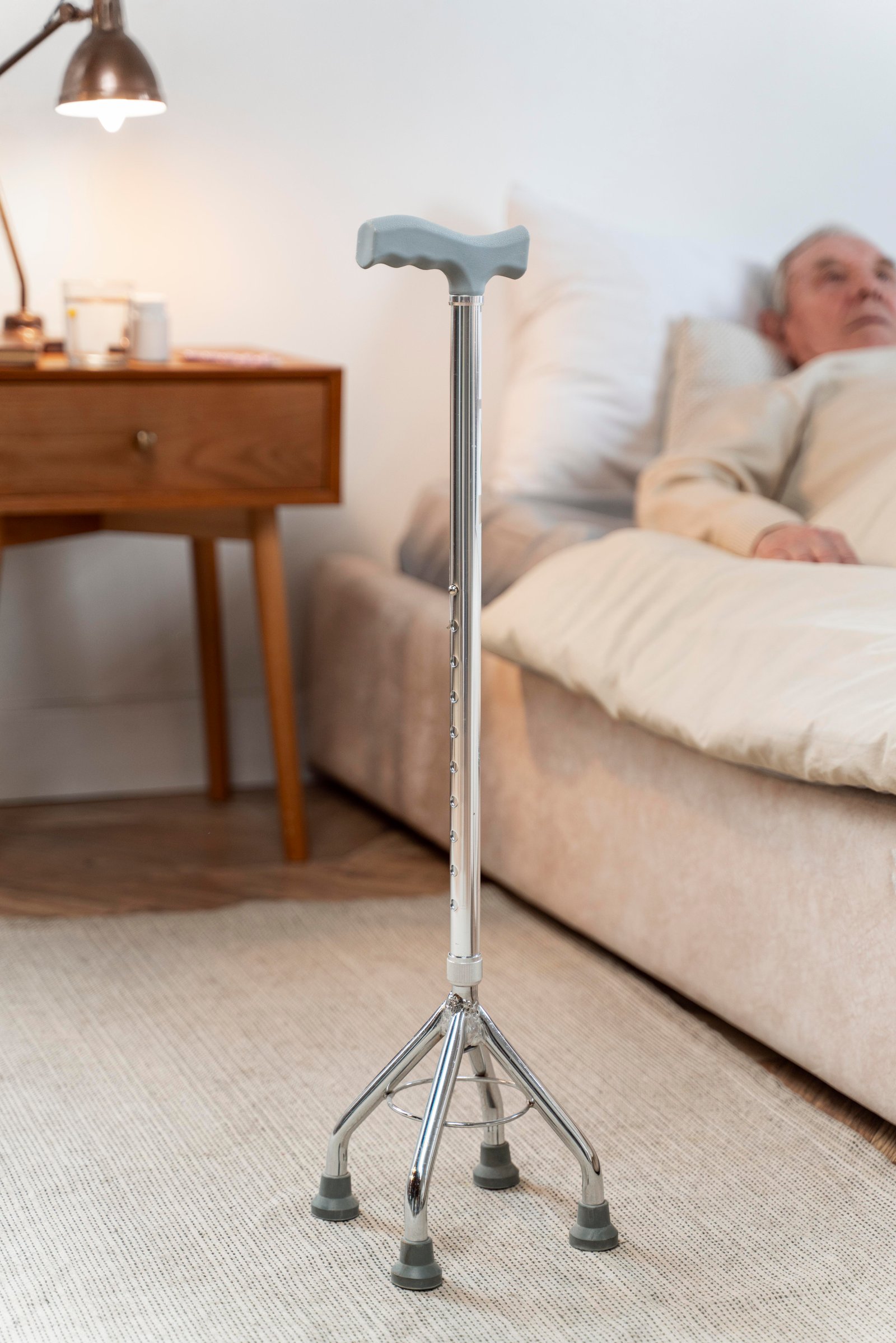 Commode Seat Lift
